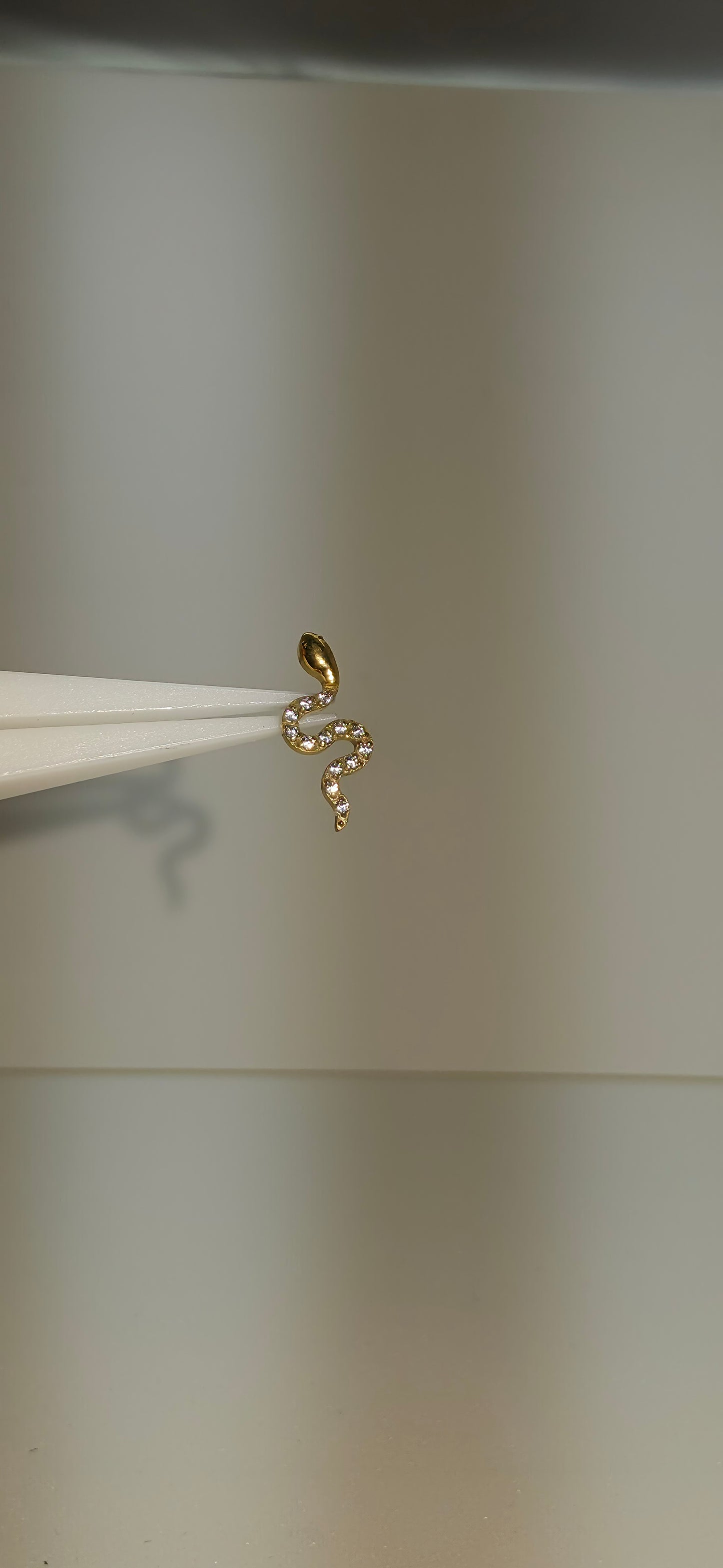 Piercing Labret Titanio figura serpiente con incrustaciones