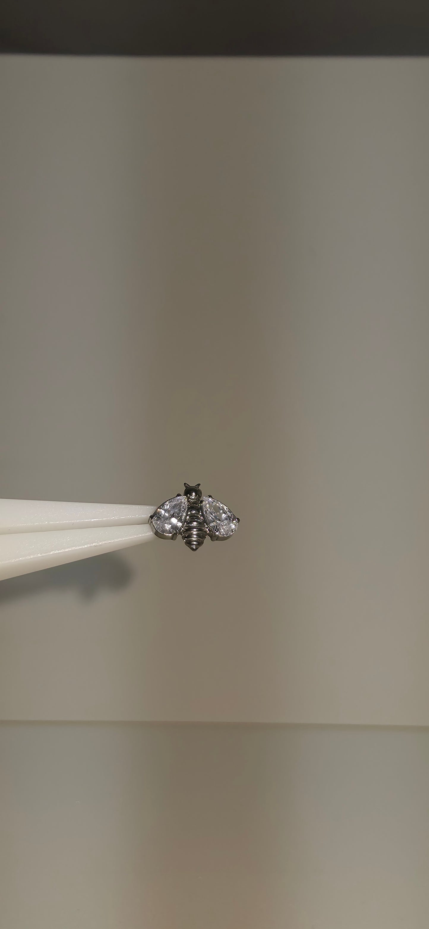Abeja con cristales de Zirconia