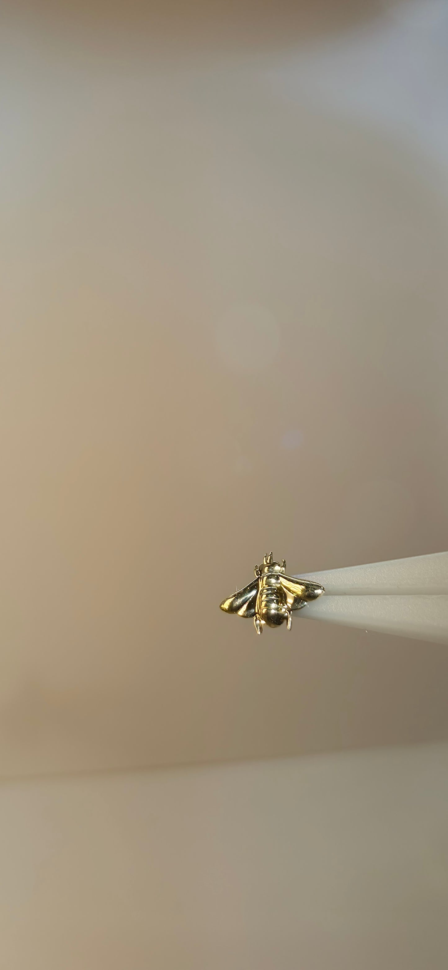 Abeja en oro solido de 18k