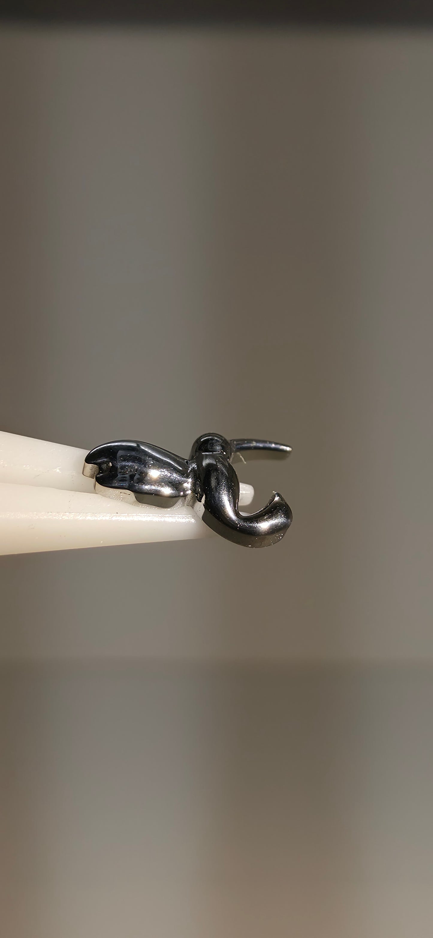 Piercing Labret Titanio figura colibrí lisa