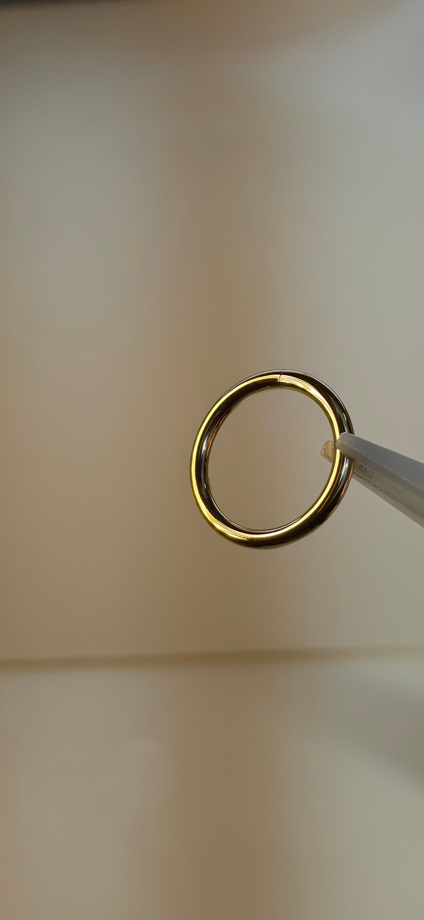 Clicker oro solido 14k en 6, 8 y 10mm calibre 16G