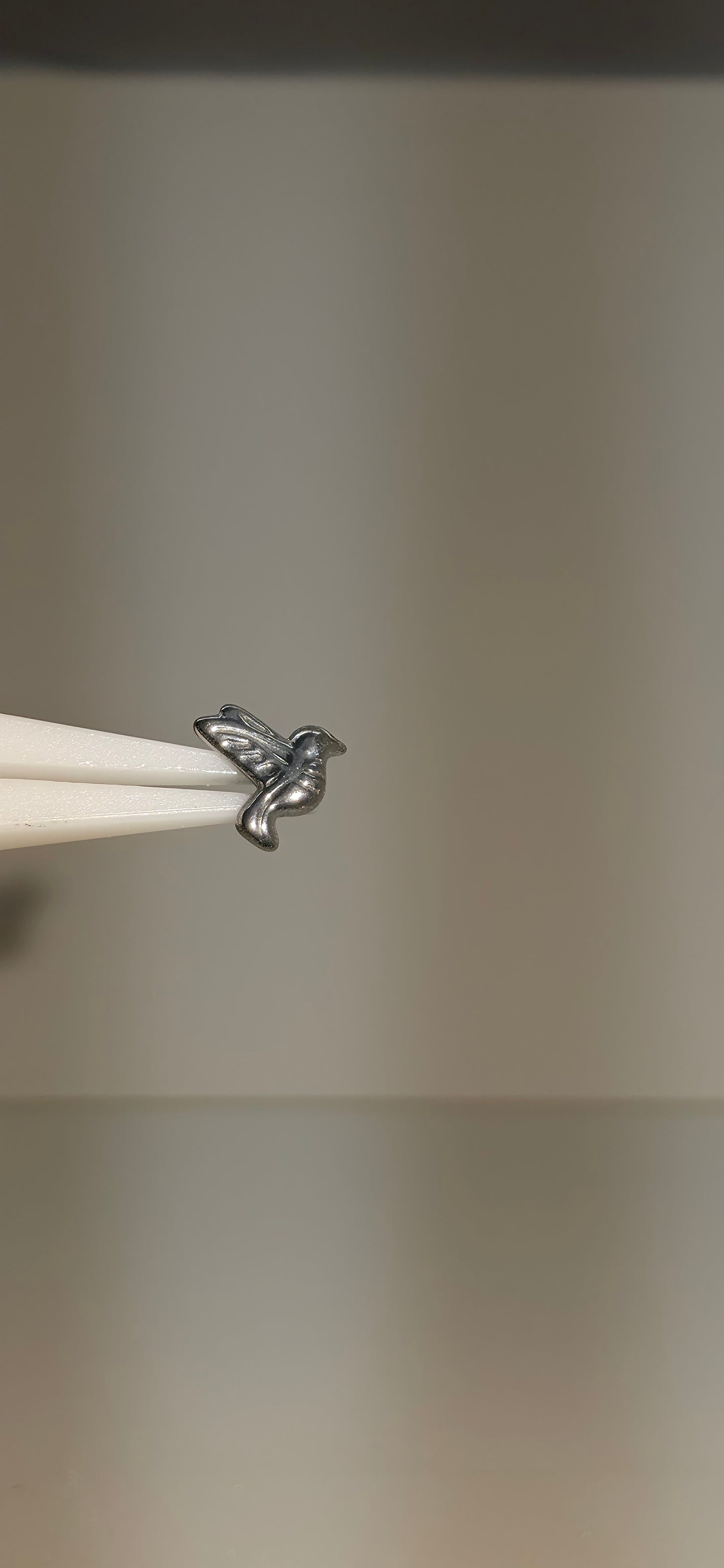 Piercing Labret Titanio figura ave