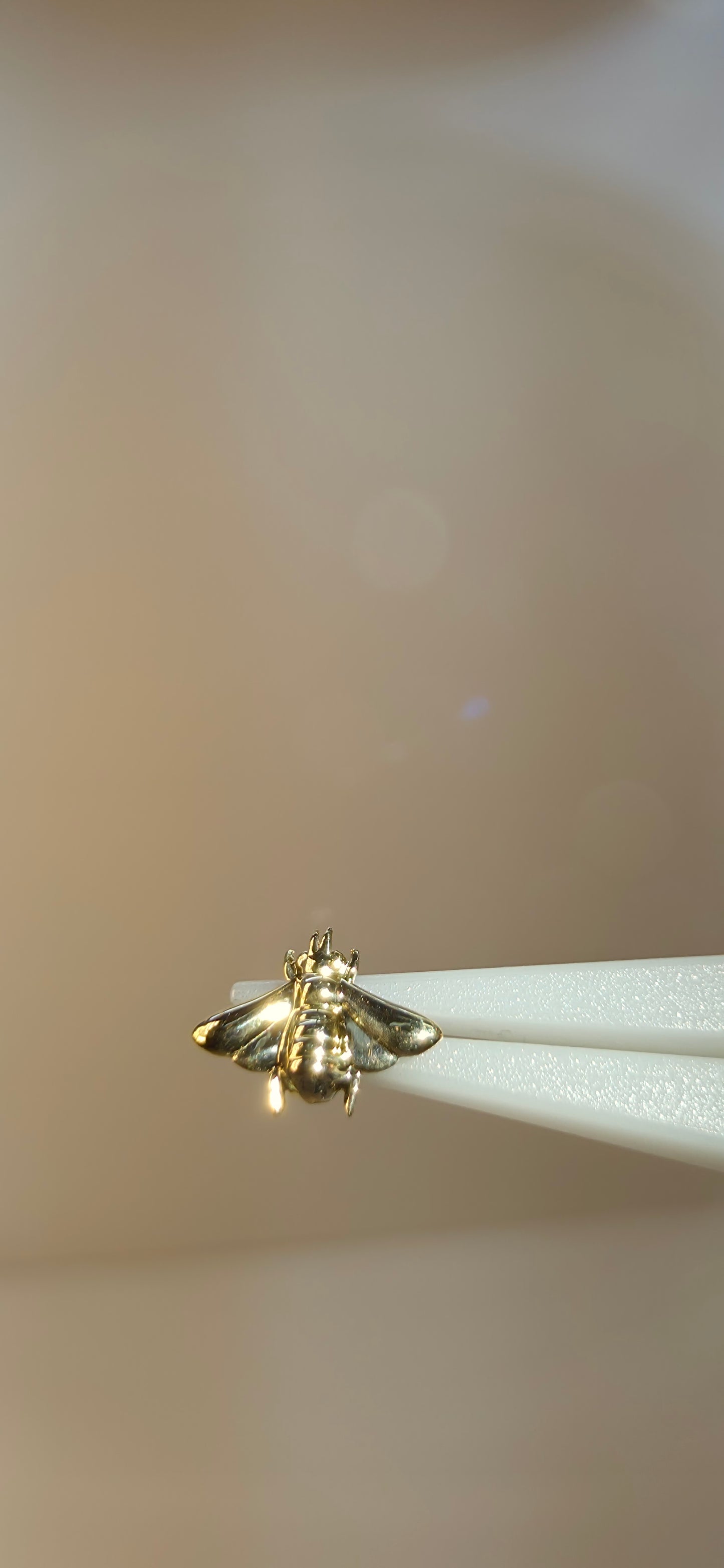 Abeja en oro solido de 18k