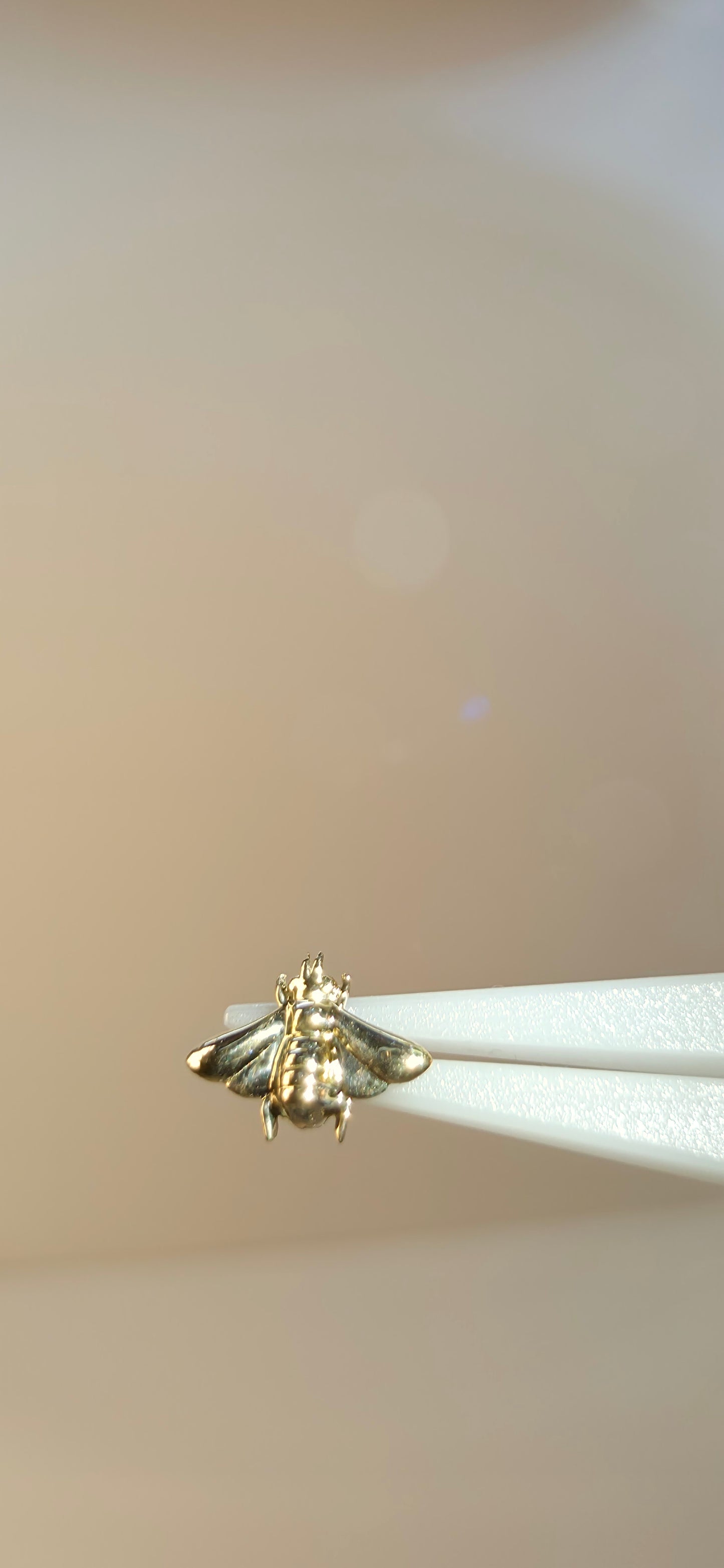 Abeja en oro solido de 18k