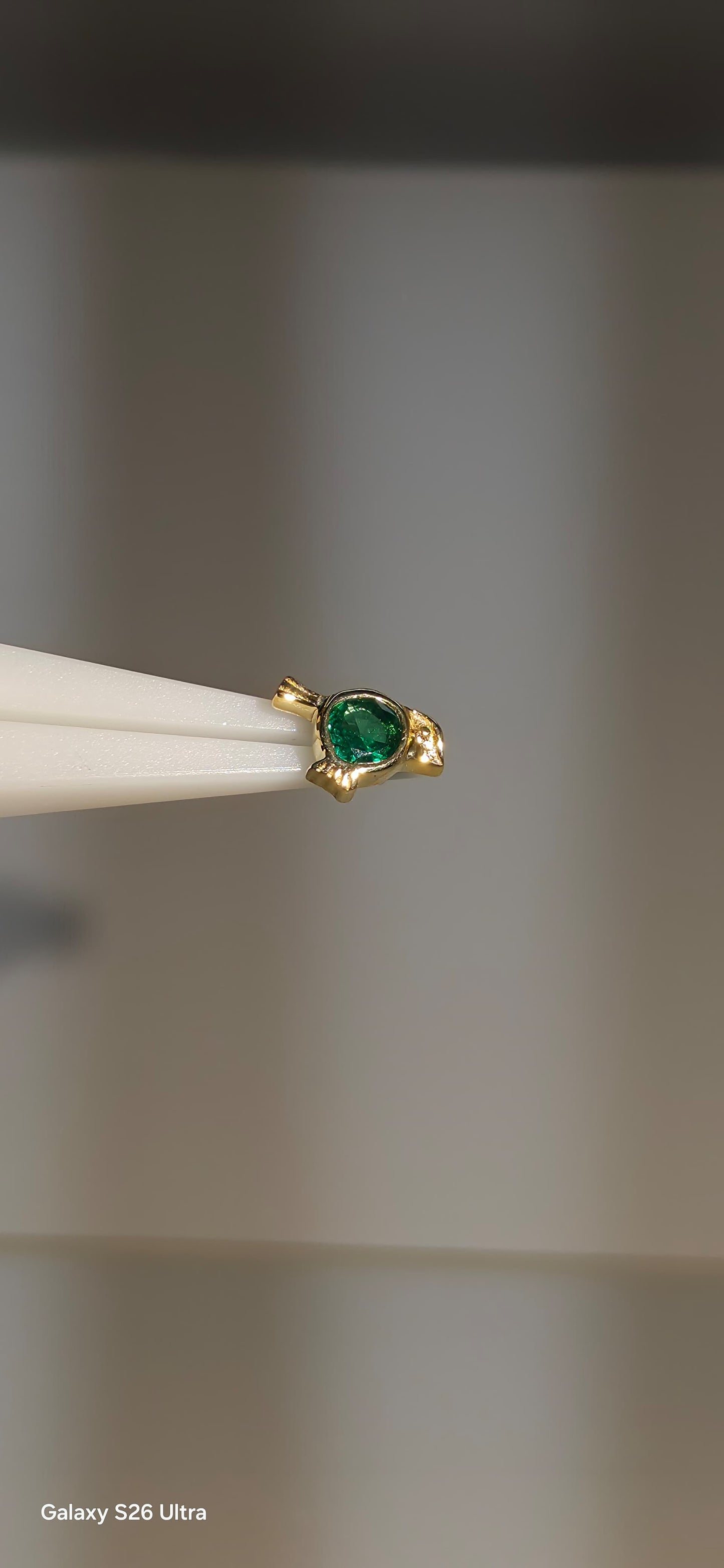 Ave con zirconia en oro solido de 14k