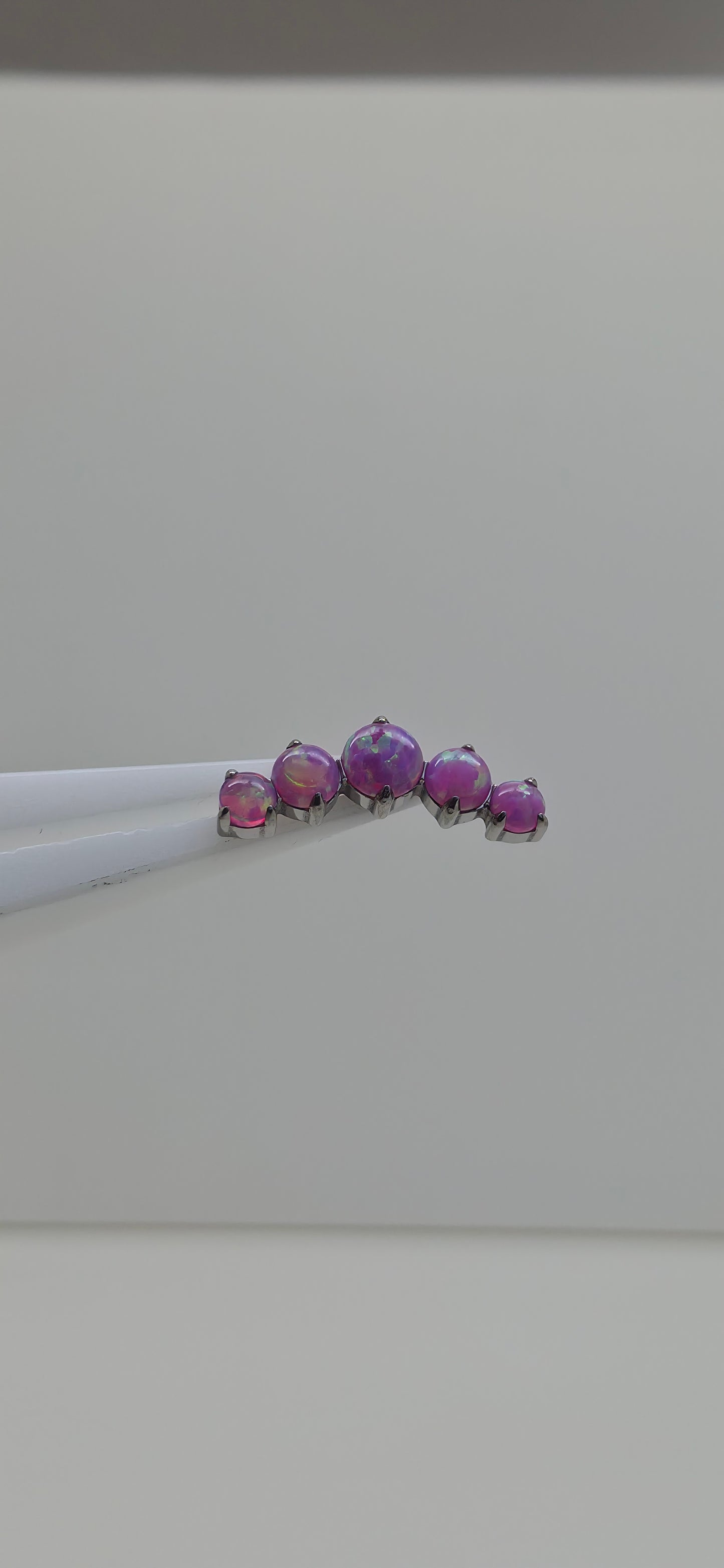 Cluster 5 brillos