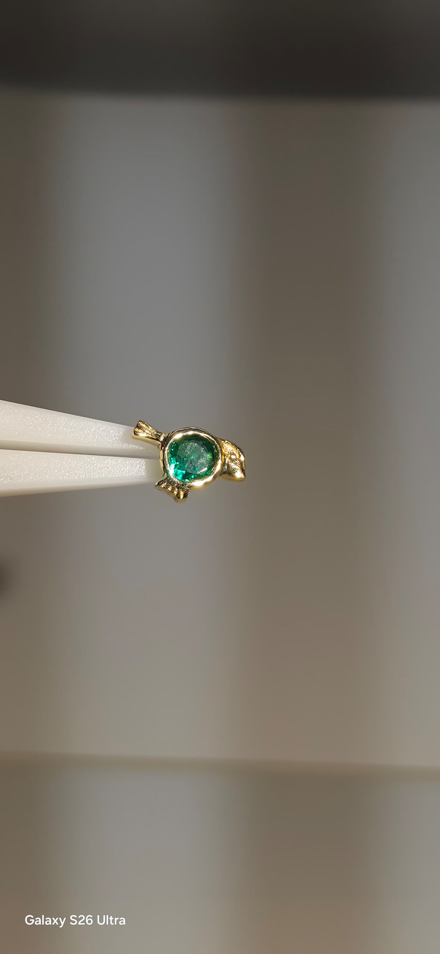 Ave con zirconia en oro solido de 14k