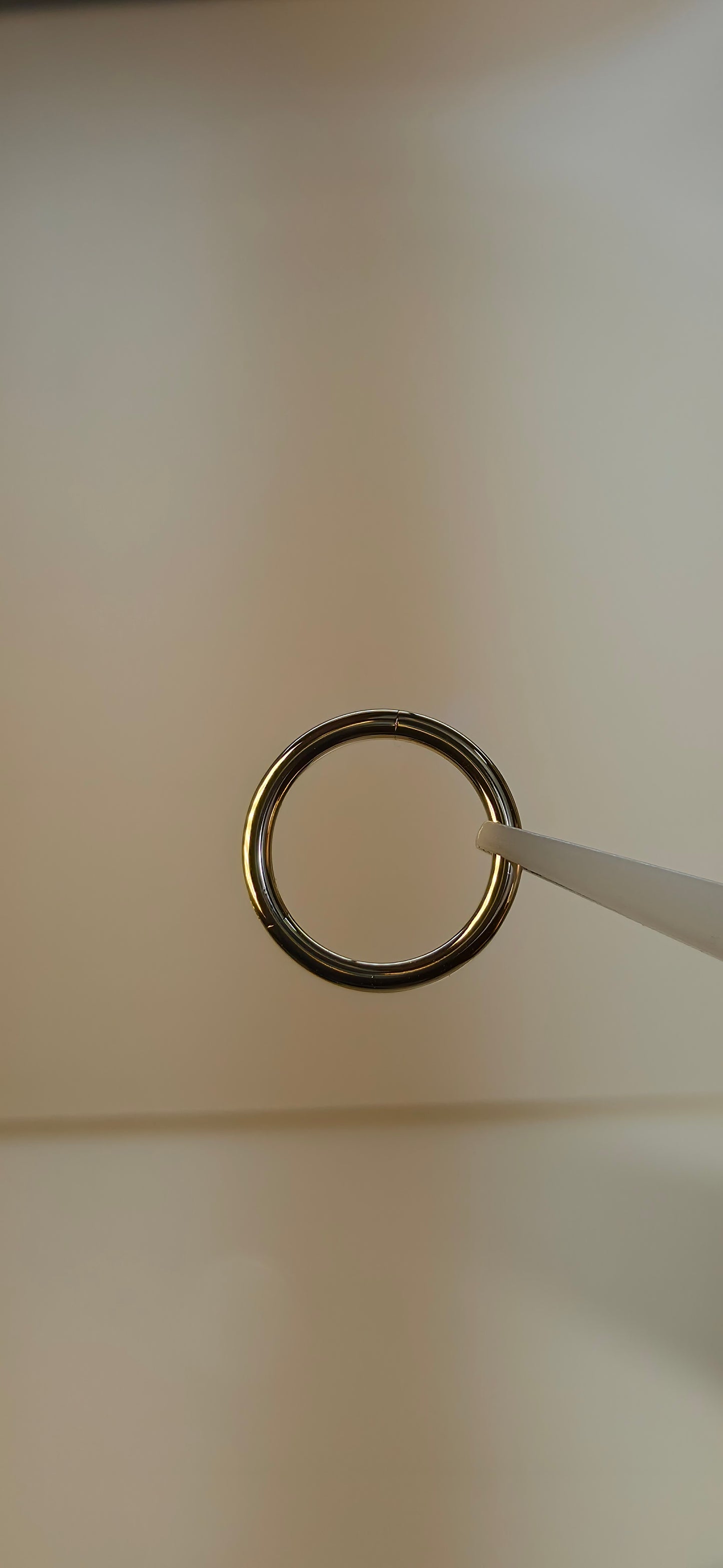 Clicker oro solido 14k en 6, 8 y 10mm calibre 16G