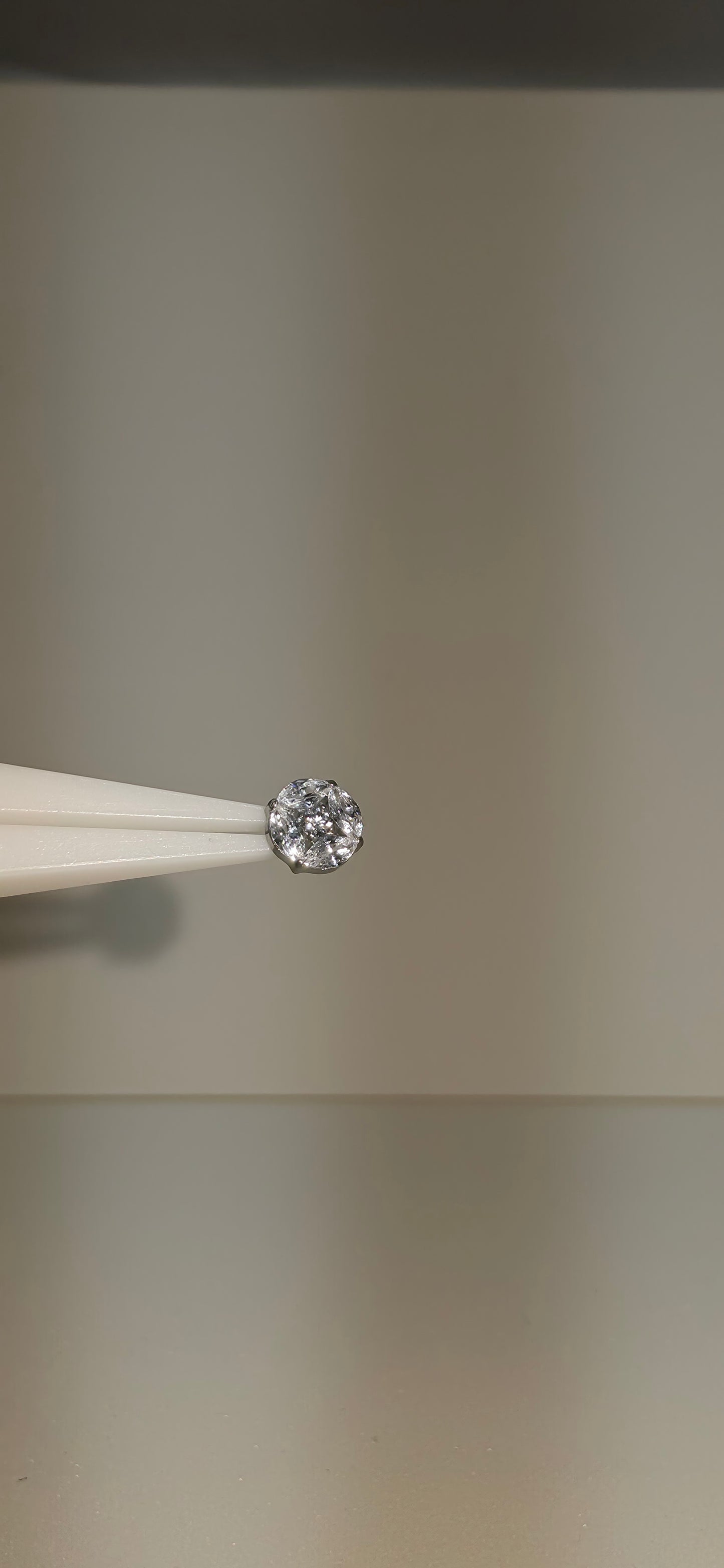 Piercing Titanio círculo Zirconias