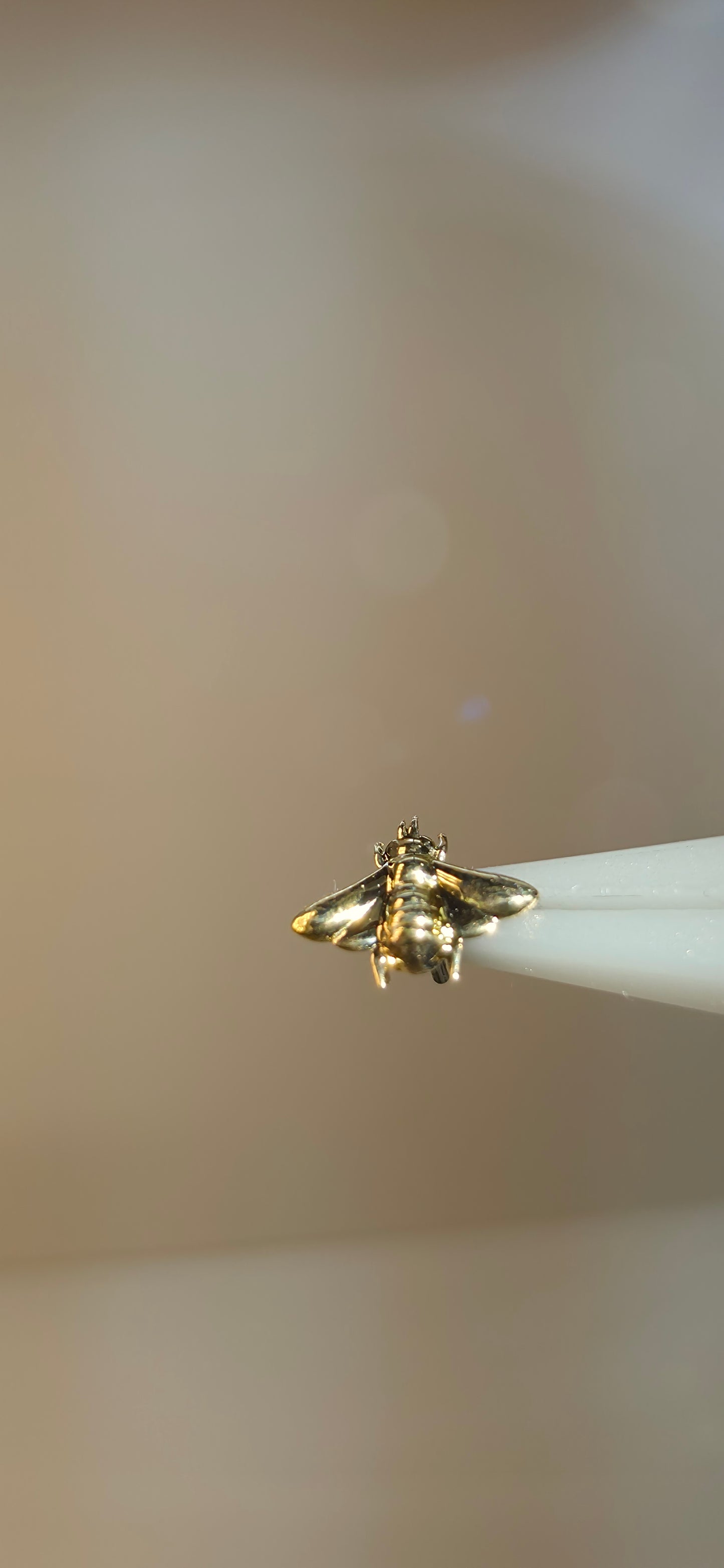 Abeja en oro solido de 18k