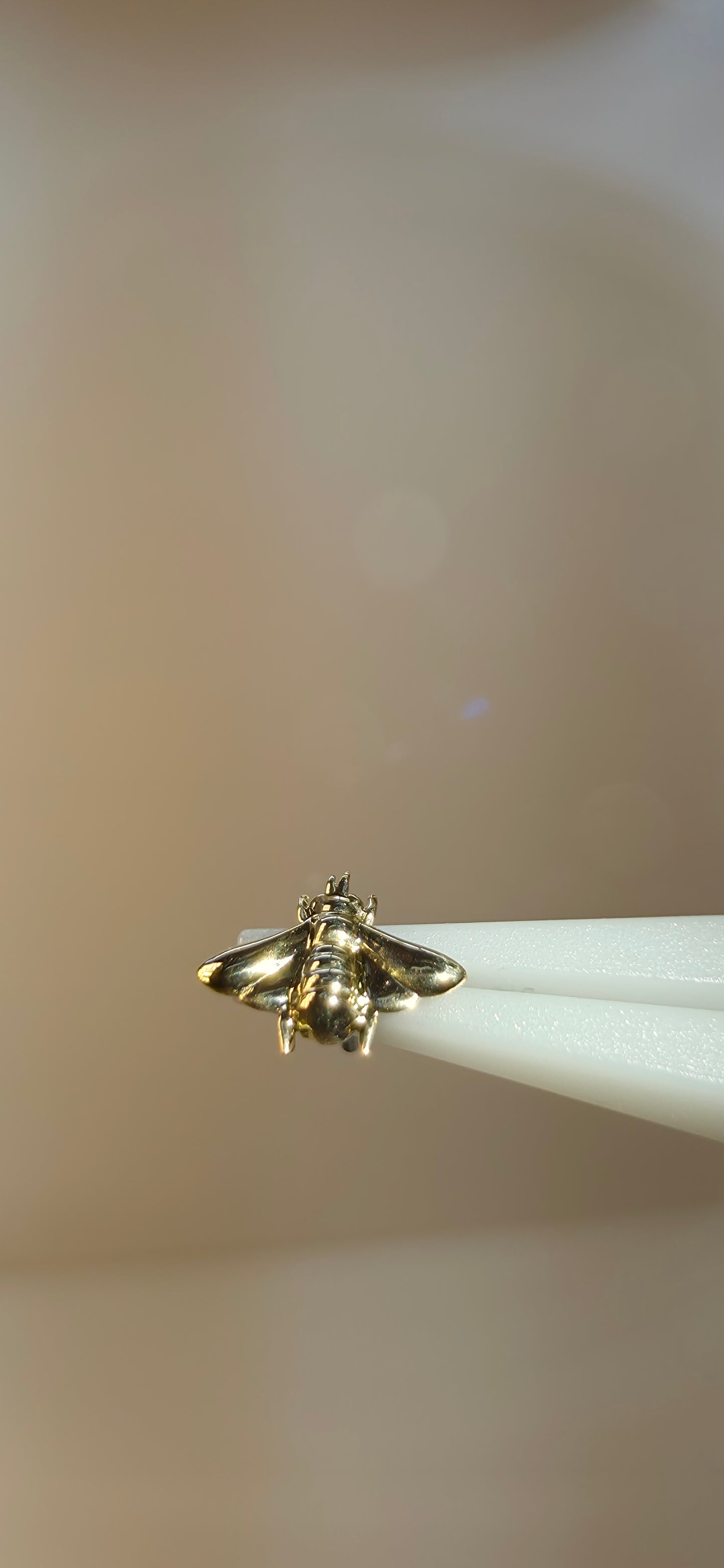 Abeja en oro solido de 18k